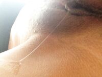 India and Crystal westbrook