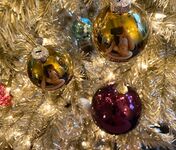 Lady in the streets - Reddit posts