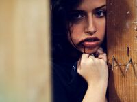 Sash Suicide 3 albums:Buffalo/Dust Storm/Gets Wet