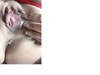 Lena the Plug Unlacked 2 part