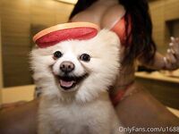 Violet Got Cake (baddgalsteph)