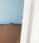 Leela   Leaked OnlyFans