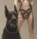 Alexandra Smelova - Nude Pack #1 — 18