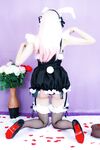 Hidori Rose   Sonico Bunny Maid