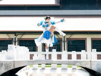 fanini rabbids chun li