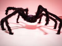 Stefania Ferrario Leaked Patreon