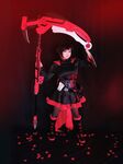 Hidori Rose   Ruby Rose   RWBY Set