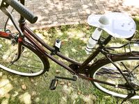 Kaho Shibuya    Twitter