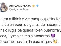 AriGameplay   Mipriv