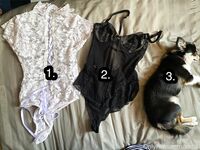 Faii Orapun   Thai holy cow from BKK