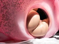 Ashley Danielle Onlyfans