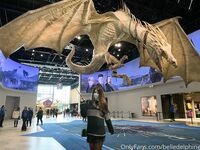 Belle Delphine Birthday Break Set