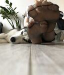 Kiro.jpg feet content onlyfans