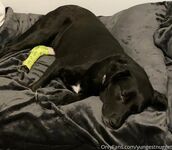 Yungestnugget Onlyfans