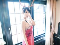 LELEWU Christmas Reindeer Theme