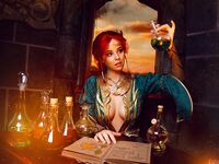 Disharmonica - triss merigold