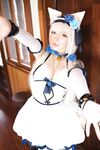Katyuska Moonfox - Vanilla(Nekopara) Cosplay