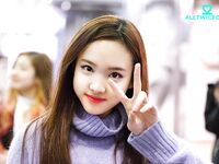 Sexy Asians Volume 2: Electric Boogaloo