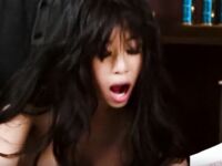 Sexy Asians Volume 2: Electric Boogaloo