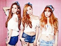 Sexy Asians Volume 2: Electric Boogaloo