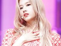 Sexy Asians Volume 2: Electric Boogaloo