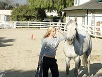 kaydendaily  kayden kross onlyfans 2