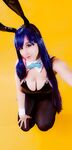 YurikoDxD - Bunnysuit Stocking