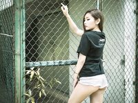 Singapore JuneRosettes