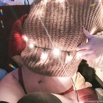 Slowpengui - Decorated with Garlands Set