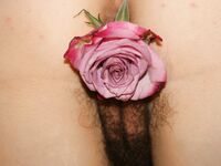 Sarahporn69's flower.