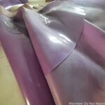 Bikinibee - OnlyFans Photos 2