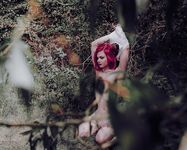 Lin Die mit den Hunden