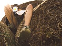 ˗ˏˋ Witch From Assisi ´ˎ˗