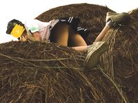 ˗ˏˋ Witch From Assisi ´ˎ˗