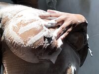 Alisha Rocket Big Boobs