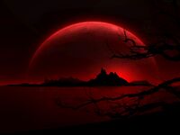 little clover ans images random