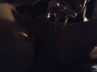 Ariel Rebel Valentine’s Sex