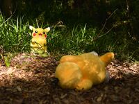 Nonsummerjack Cosplay Pokemon