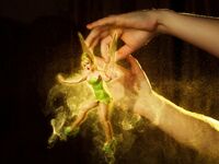 Kalinka Fox - Tinkerbell