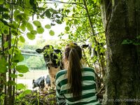 Belle Delphine Lewd Adventure