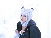 Nonsummerjack - Foxy -