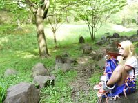 Nonsummerjack - Elfa -