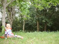 Nonsummerjack - Elfa -