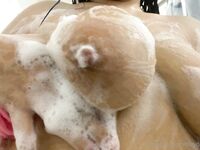 Mariewhuana/playdate/himiko