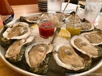 Holly Hotwife Part 1