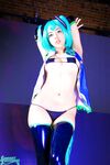 Swimsuit Succubus Miku