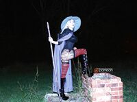 Swimsuit Succubus Switch