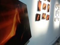 Claudiia Lion Lionello Claurilion