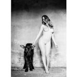 Claudiia Lion Lionello Claurilion