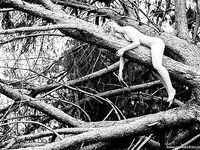 Claudiia Lion Lionello Claurilion